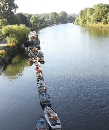 Queue Of Rowing Boats on River Thames at Richmond